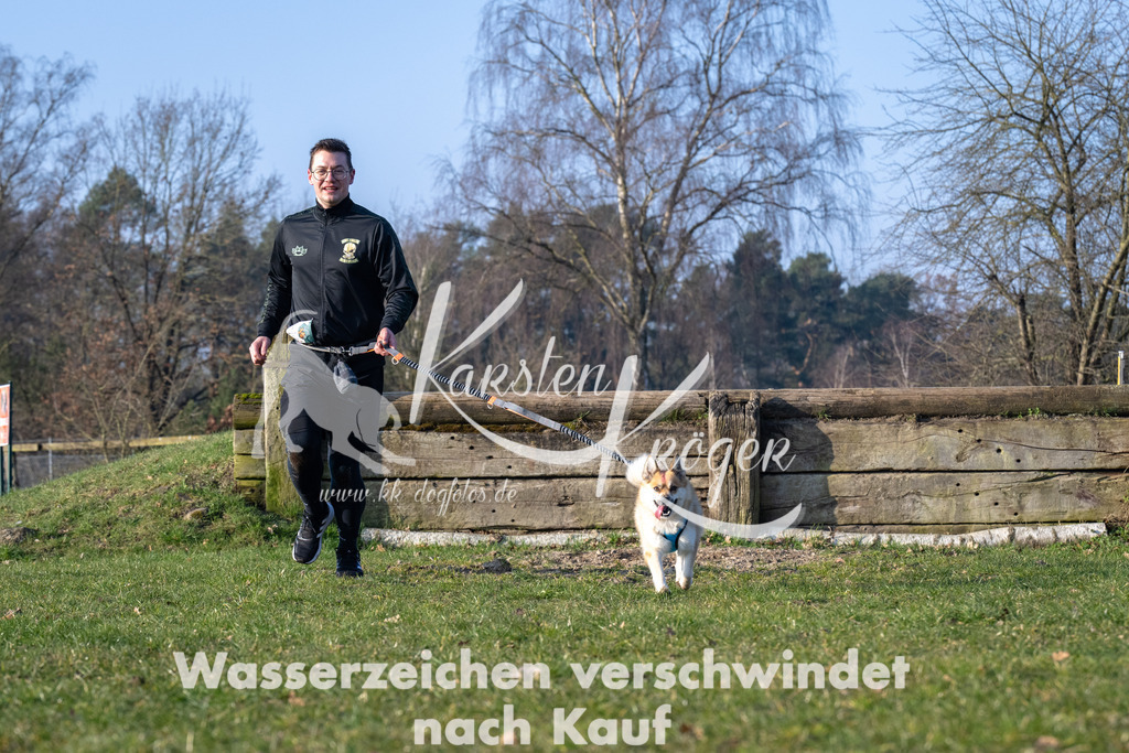 _ZZ92795 | kk-dogfotos