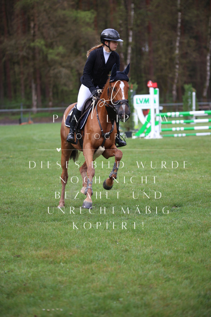 IMGT2735 | pl-fotografie