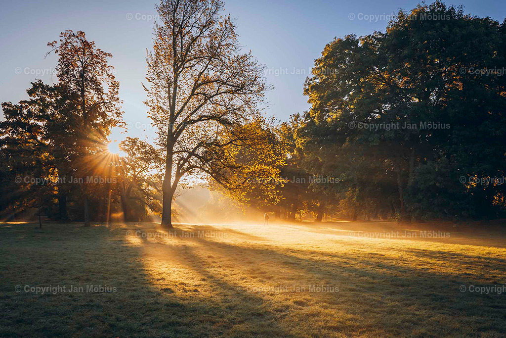Clara Park | Der Clara-Zetkin-Park in Leipzig ist ein beliebter Ort für Natur, Sport und Erholung – perfekt für Spaziergänge, Jogging und entspannte Stunden im Grünen. - Realisiert mit Pictrs.com