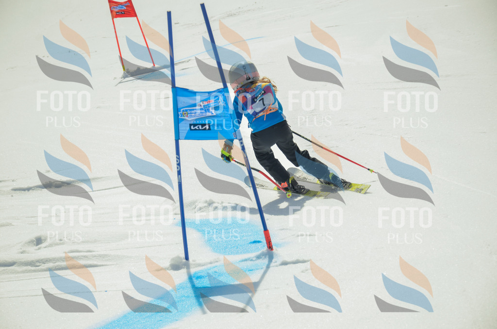 _ELE4500 | holidayphoto