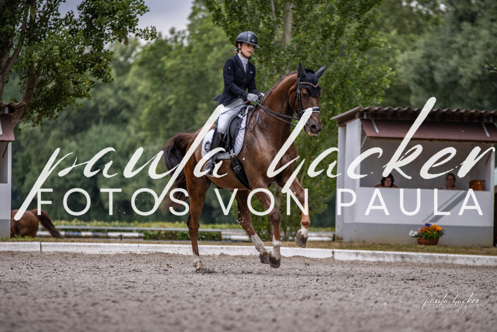 IMG_6488 | Erleben Sie dynamische Sport- und emotionale Tierfotografie in Süddeutschland mit Fotos von Paula. Spezialisiert auf Pferde- und Hundefotografie sowie Sportevents. Kontaktieren Sie mich für einzigartige und ausdrucksstarke Bilder Ihrer besonderen Momente. - Realisiert mit Pictrs.com