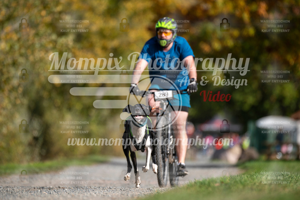 TSB_2023_E2_Bike-11 | PayLife