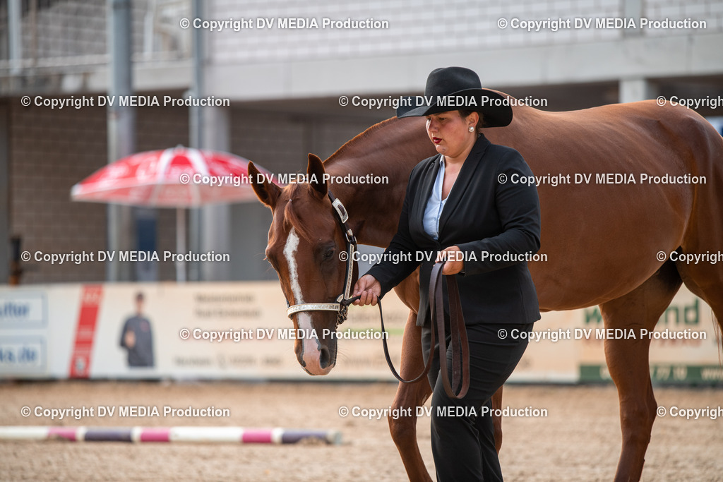 EWP_5521 | dv-media-shop - Realisiert mit Pictrs.com