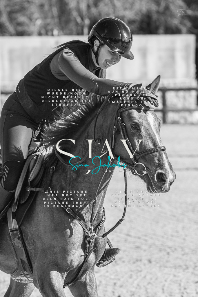 IMG_3648 | s-jay-photography - Realisiert mit Pictrs.com