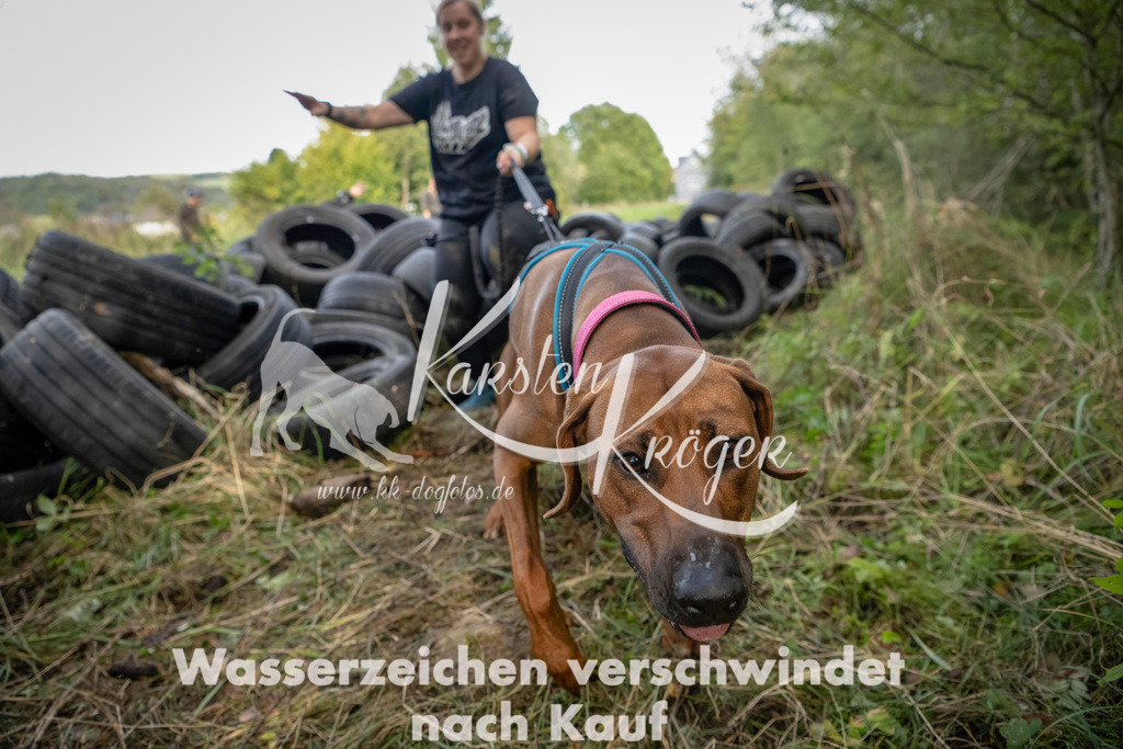 1510_ZZ91296-Bearbeitet | kk-dogfotos