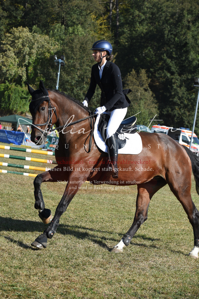 DSC_5412 | Pferde- und Turnierfotografie in Westsachsen. Pferdeportraits, Auftragszeichnungen und intuitive Kunst.