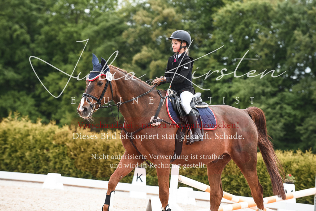 20230518_JK-Röhrsdorf-10-457 | Pferde- und Turnierfotografie in Westsachsen. Pferdeportraits, Auftragszeichnungen und intuitive Kunst.