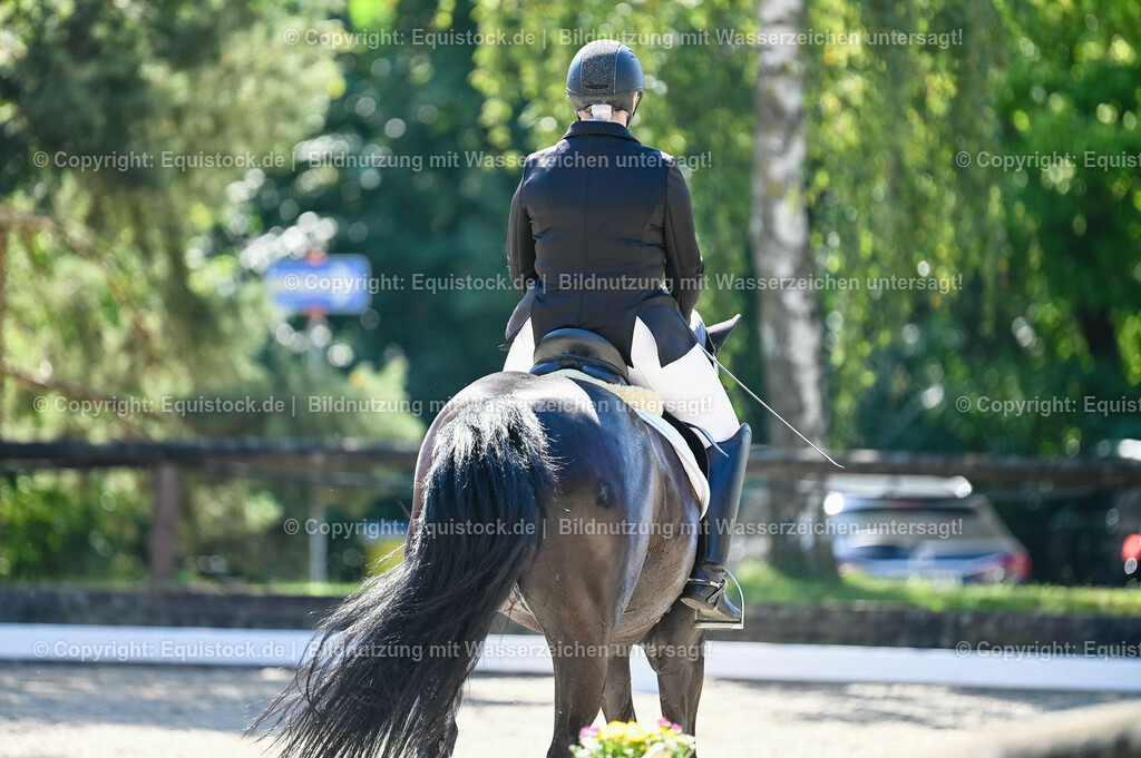 20230908_06_Dressur-L-Trense_0679 | equistock