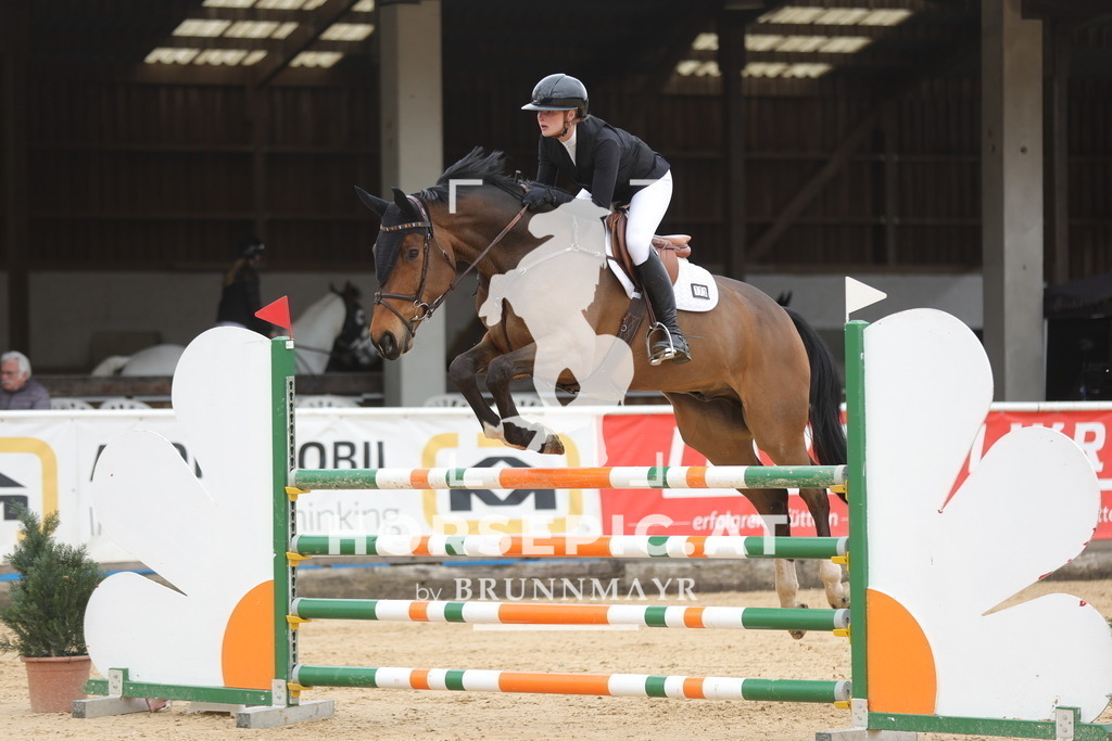 0P6A2115 | Willkommen bei Brunnmayr - Design & Fotografie – Ihrem Spezialisten für Reitturniere und Pferdeveranstaltungen in Oberösterreich, Salzburg und Bayern! Seit über 17 Jahren sind wir leidenschaftlich dabei.