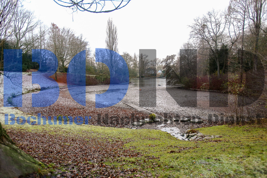  10.12.2020 - 
 | Sebastian Sendlak / Bochumer Nachrichtendienst (BOND) - Bochum Allgemein - Stadtparkteich leer - Realisiert mit Pictrs.com