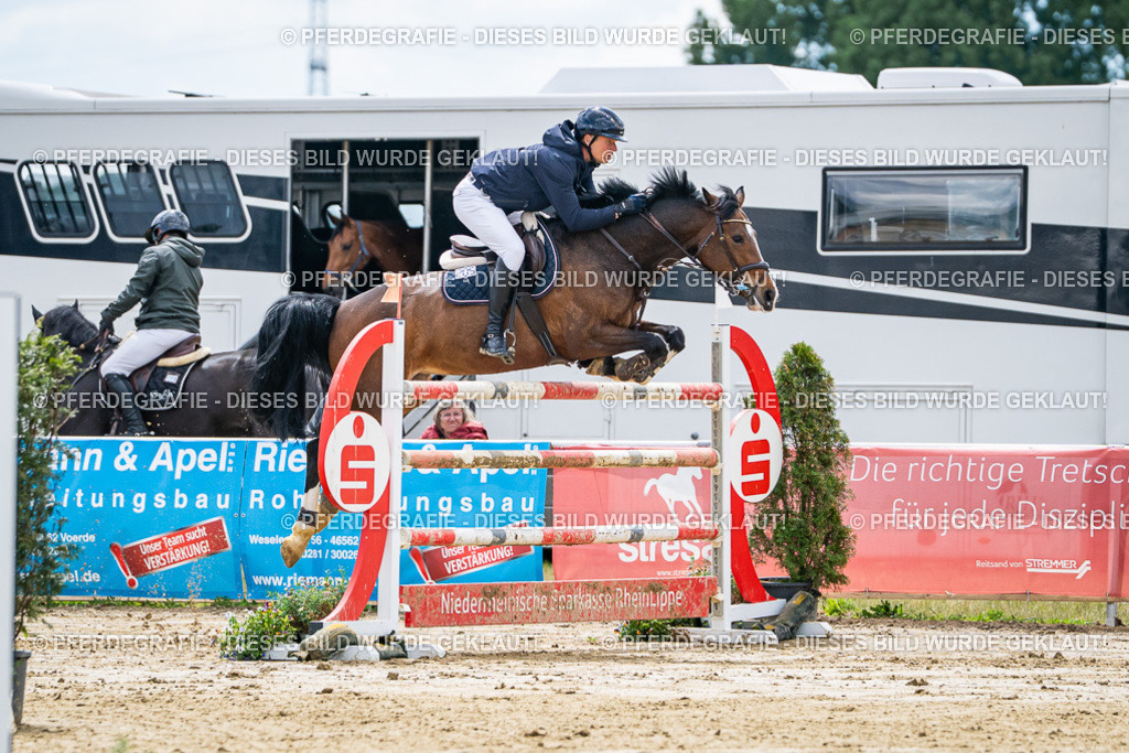 DSC05312 | Pferdegrafie