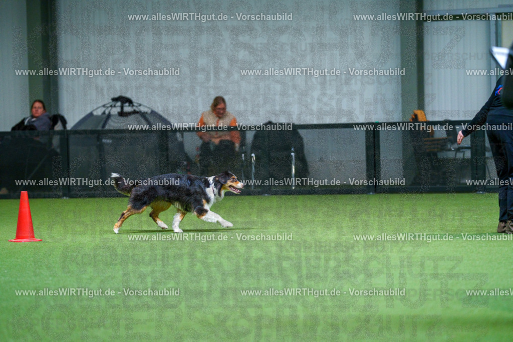 7R502034 | Professionelle Tierfotografie in Mönchengladbach von Daniel Wirth (allesWIRTHgut). Liebevolle & natürliche Bilder von Hunden & Katzen für unvergessliche Erinnerungen.