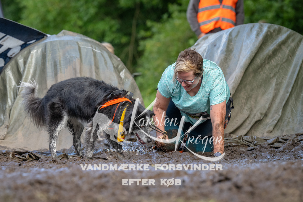 1717_ZZ91915 | kk-dogfotos
