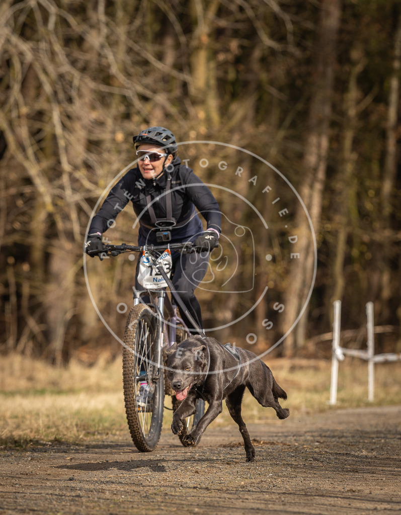 DV3A4440 | Hundefotografie, Tierfotograf, Pfotenfotografie, Fotoshooting Hund, Hunde Portrait, Hundesport, Hundeportraits, Heideshooting, Hunde, Sportfotograf, Hundefotograf, Turnierhundsport, THS,  - Realisiert mit Pictrs.com