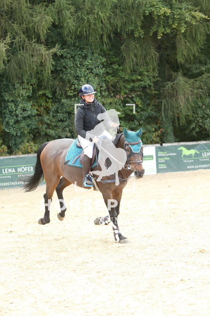 DL2Q6710 | Willkommen bei Brunnmayr - Design & Fotografie – Ihrem Spezialisten für Reitturniere und Pferdeveranstaltungen in Oberösterreich, Salzburg und Bayern! Seit über 17 Jahren sind wir leidenschaftlich dabei.