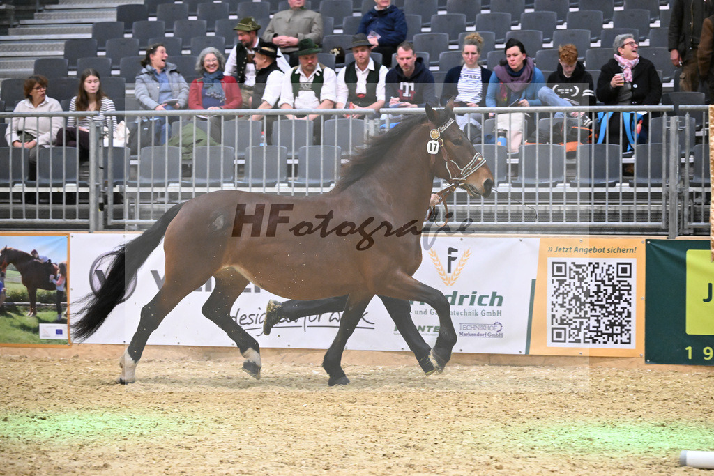 Kat-Nr. 17 Pipa II v. Regent_Kriechbaumer_1260263 | hf-fotografie - Realisiert mit Pictrs.com