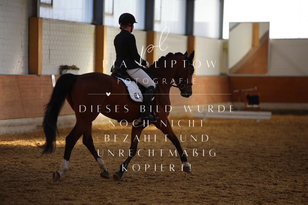 IMGT7676 | pl-fotografie