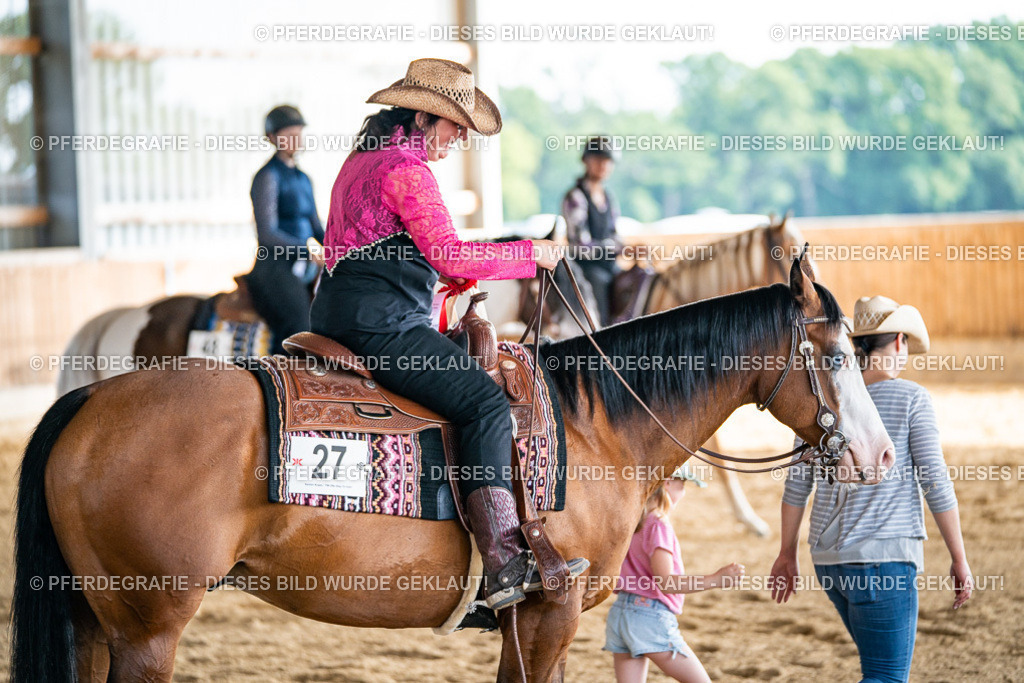 DSC08394 | Pferdegrafie