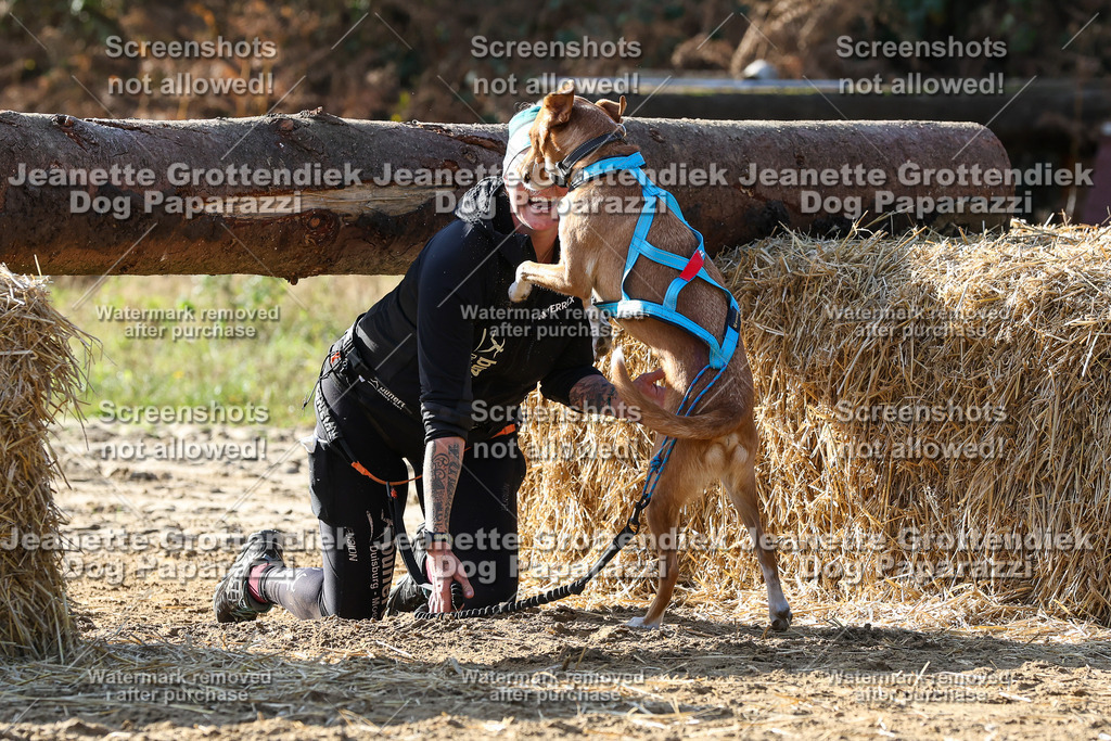 Dog Paparazzi - Strongdog 10-25-5970 | Dog Paparazzi Jeanette Grottendiek Fotografie & Videografie - Realisiert mit Pictrs.com
