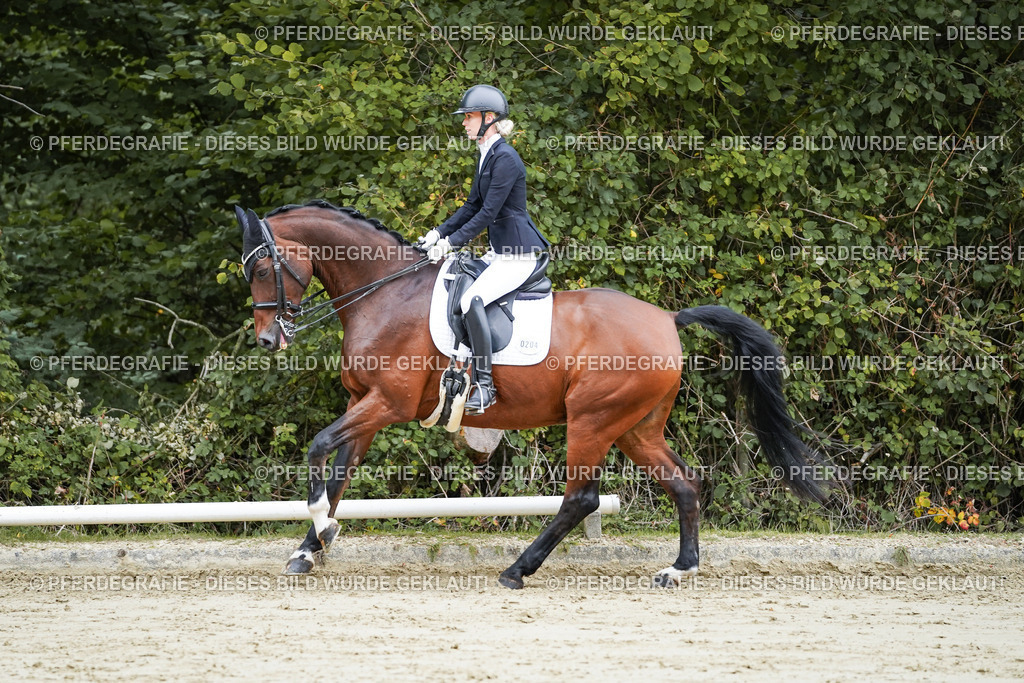 DSC09281 | Pferdegrafie