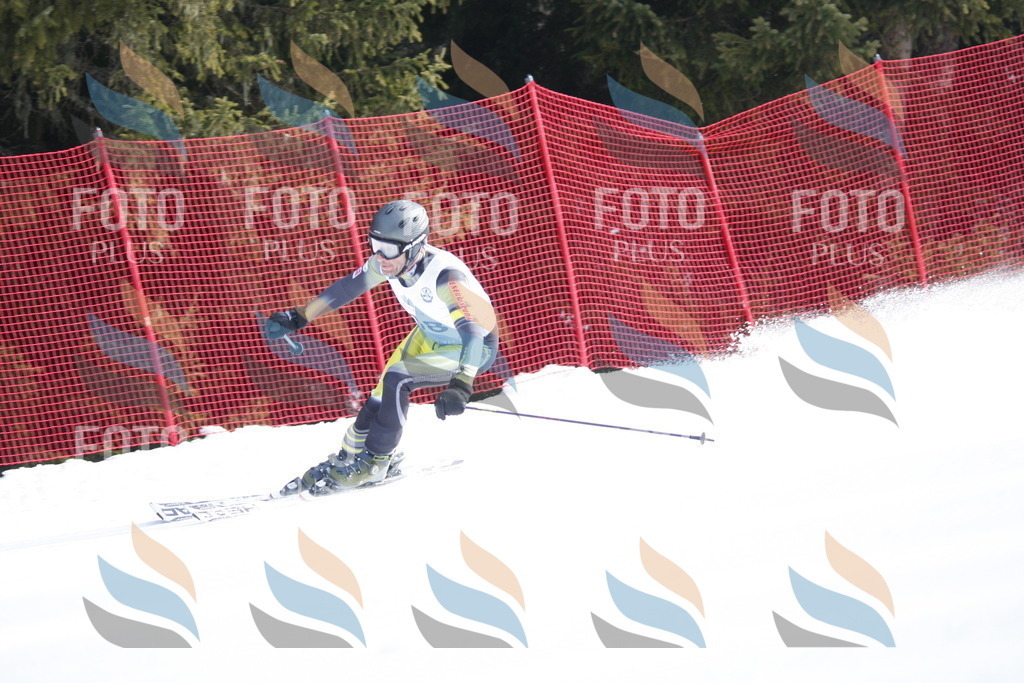 D6617 | holidayphoto