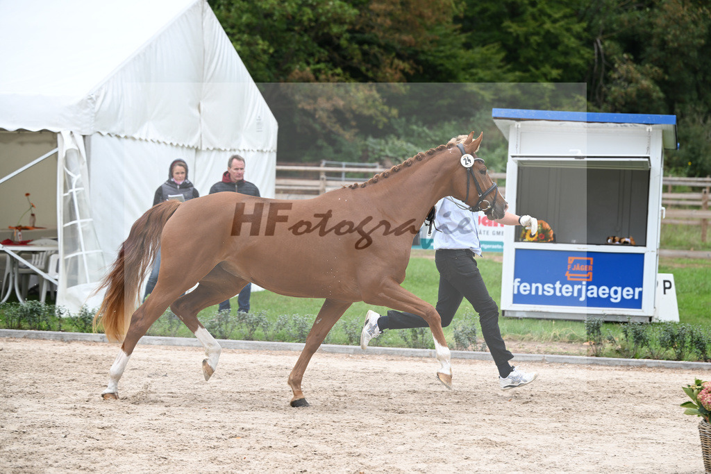 Kat-Nr. 24 Vivamente_HLG Marbach_49221308 | hf-fotografie - Realizzato con Pictrs.com