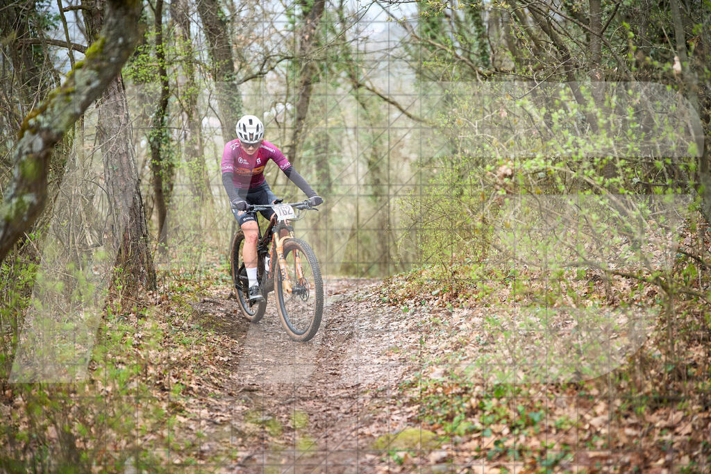 34. KTM Kamptal Trophy  | ZÖBING, Österreich – 2026-03-29: 34. KTM Kamptal TrophyFoto: © 2026 Martin Bihounek - MB Creative e.U.
