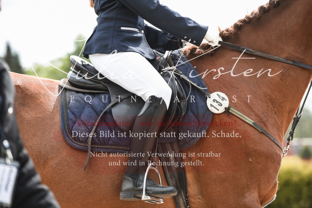 20230518_JK-Röhrsdorf-10-001 | Pferde- und Turnierfotografie in Westsachsen. Pferdeportraits, Auftragszeichnungen und intuitive Kunst.