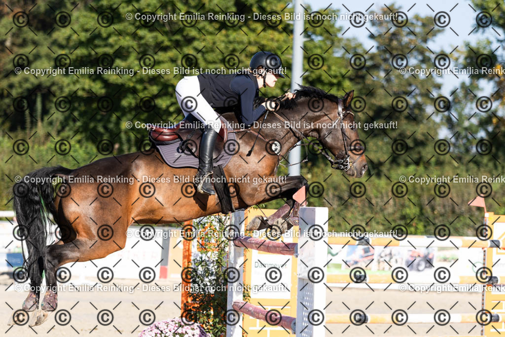 CL5A6978 | Emilia Reinking Fotografie - Realisiert mit Pictrs.com