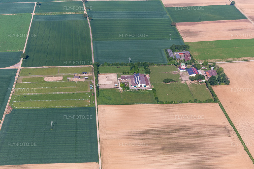 Luftbild: Rosenhof, Eichenhof in Ottersheim bei Landau im Bundesland Rheinland-Pfalz in Deutschland. Foto: IMG_114270.jpg vom 26.05.2019 durch Werner Riehm/FLY-FOTO.de
