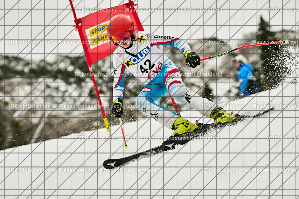 ALP3564_NWC-RTL_Hochkar_Almeder David | (C)FotoLois.com, Alois Spandl, NÖ RAIKA Club-Nachwuchscup_Giant Slalom am Hochkar/Draxlerloch, So 15. Jänner 2023.