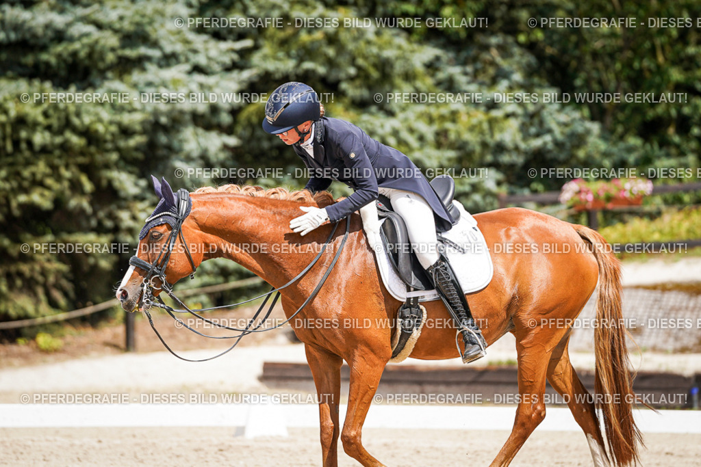 DSC06252 | Pferdegrafie