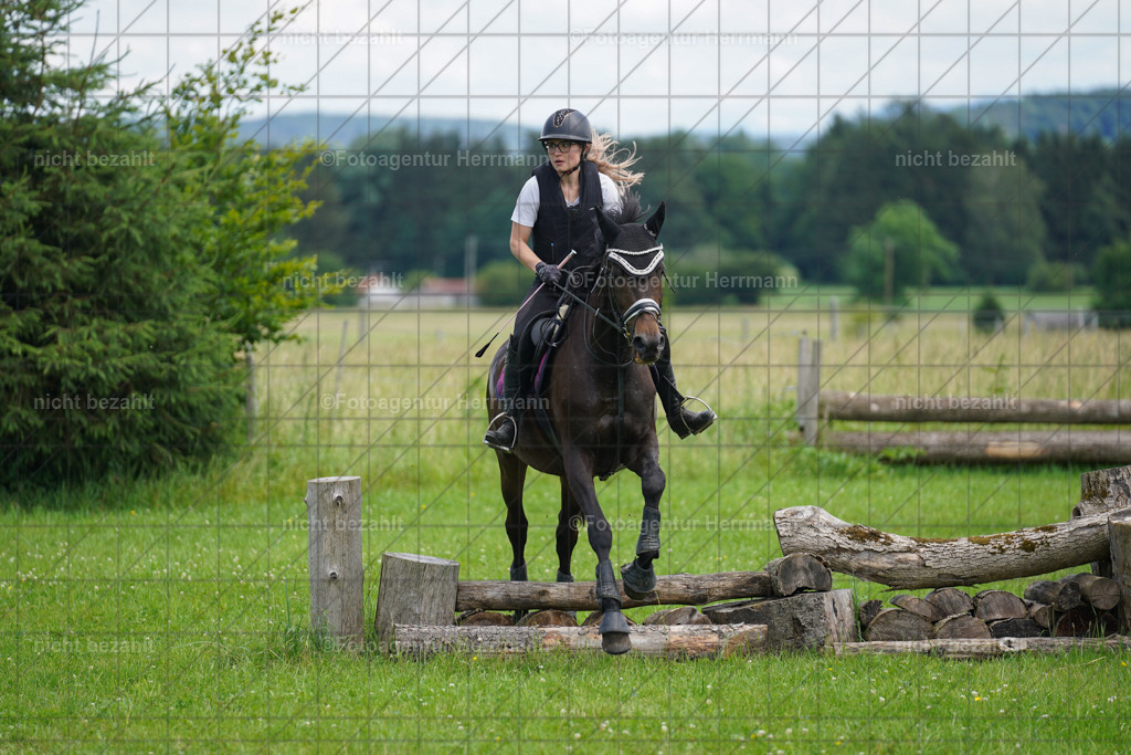 20240622-FAH07425 | Turnierfotografen Bayern, Reitsportbilder aus dem Geländekurs mit Felix Etzel auf dem Gut Waitzacker 2024