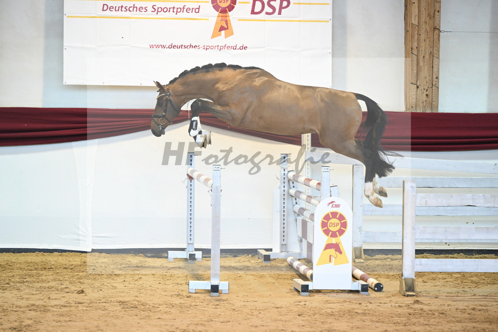 Kat-Nr. 62 v. Asti Spumante_Muehlbauer_66221407 | hf-fotografie - Realisiert mit Pictrs.com