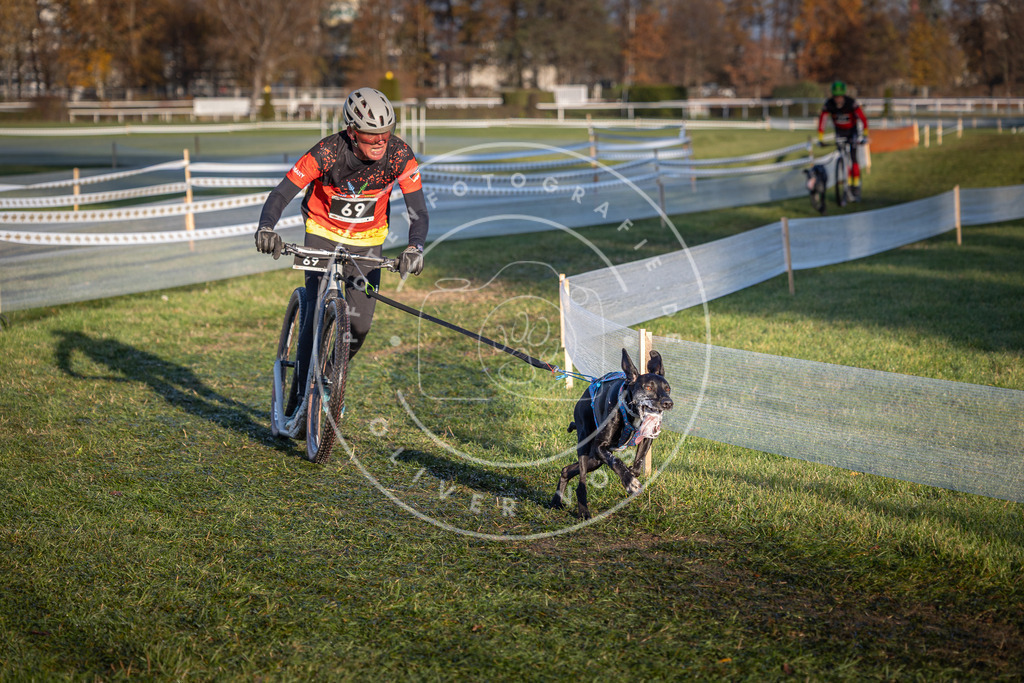 CaniXpix_0L8A3322 | Hundefotografie, Tierfotograf, Pfotenfotografie, Fotoshooting Hund, Hunde Portrait, Hundesport, Hundeportraits, Heideshooting, Hunde, Sportfotograf, Hundefotograf, Turnierhundsport, THS,  - Realisiert mit Pictrs.com