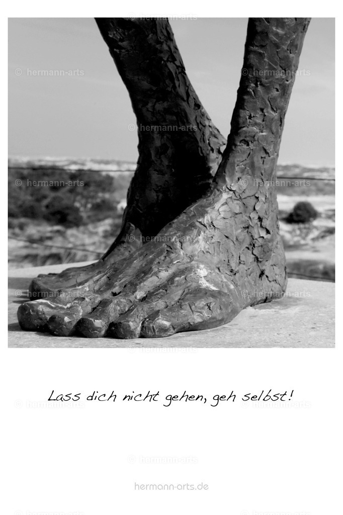 PK_Zitate_10x15_BW-019 | Photo Foto Kunst Art schwarzweiss Bilder Rheine Münster Berlin Blumen 