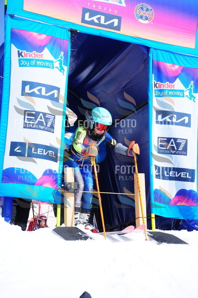 DSC_4757 | holidayphoto