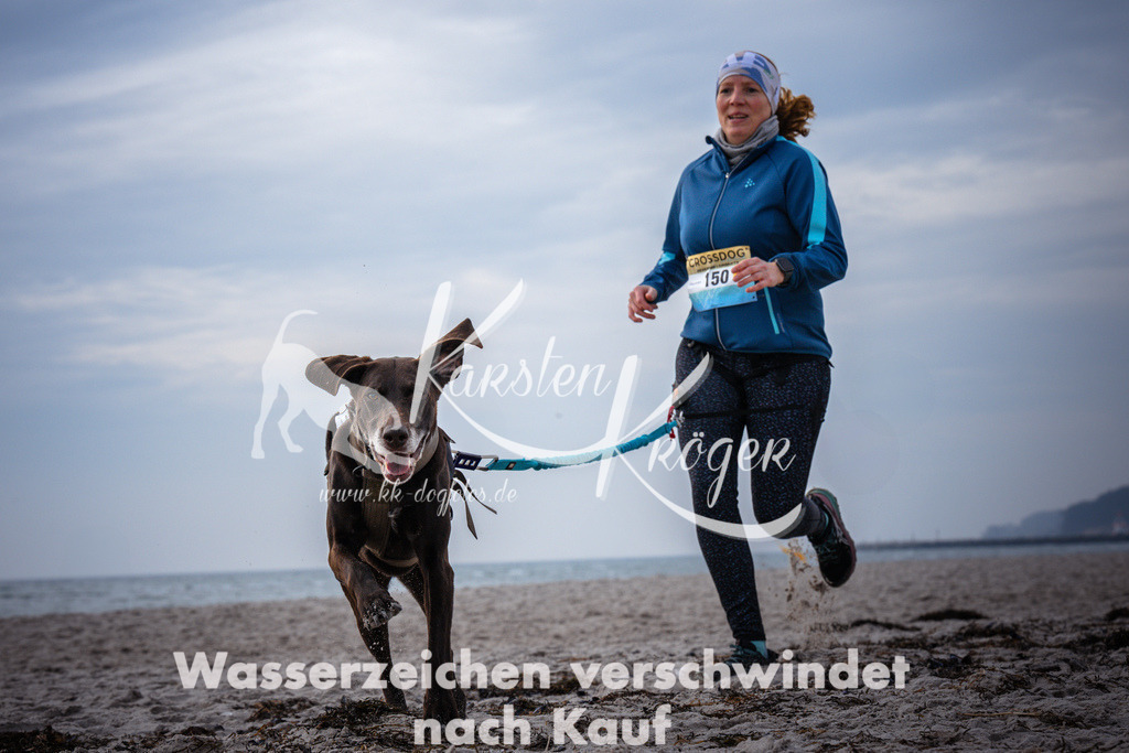 1042_ZZ96168 | kk-dogfotos