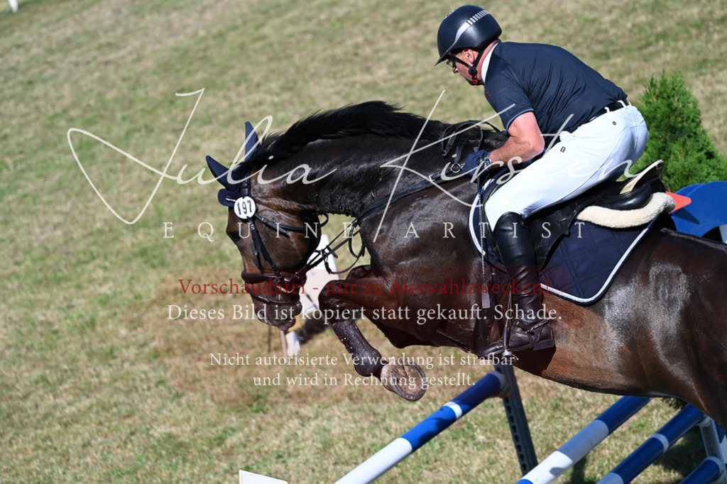 DSC_2151 | Pferde- und Turnierfotografie in Westsachsen. Pferdeportraits, Auftragszeichnungen und intuitive Kunst.