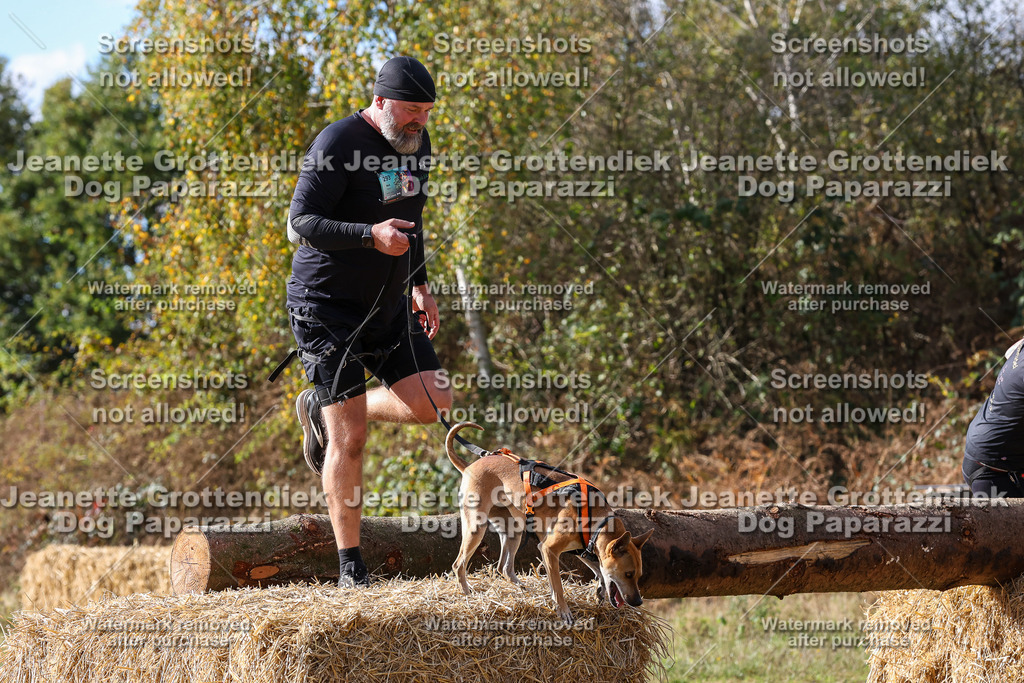 Dog Paparazzi - Strongdog 10-25-5302 | Dog Paparazzi Jeanette Grottendiek Fotografie & Videografie - Realisiert mit Pictrs.com