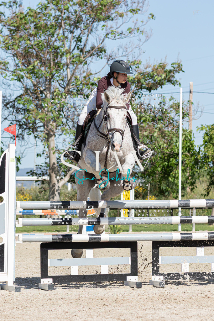 IMG_0970 | s-jay-photography - Realisiert mit Pictrs.com