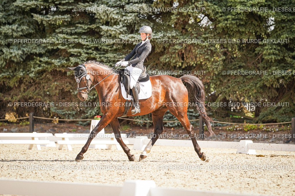 DSC00888 | Pferdegrafie