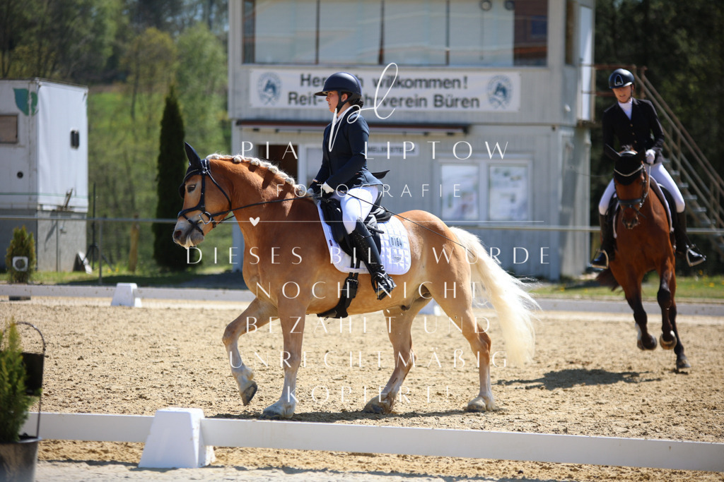 IMGT1537 | pl-fotografie