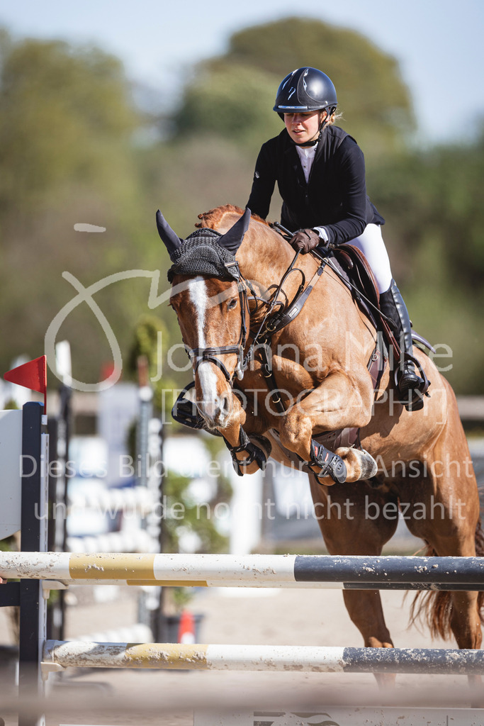 250419_Frühlingsfest_Stil-L-657 | Deine schönsten Turniermomente als professionelle Fotos! Entdecke hochwertige Pferdesport-Fotografie im Online-Shop. Jetzt Fotos finden & bestellen!