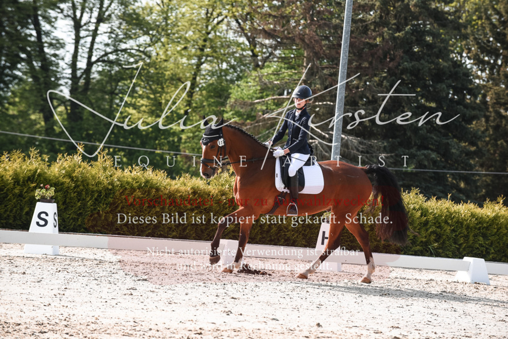 20230518_JK-Röhrsdorf-09-1219 | Pferde- und Turnierfotografie in Westsachsen. Pferdeportraits, Auftragszeichnungen und intuitive Kunst.