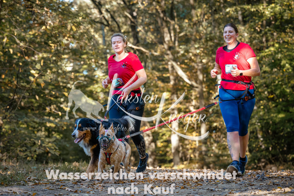 1132_ZZ92670 | kk-dogfotos