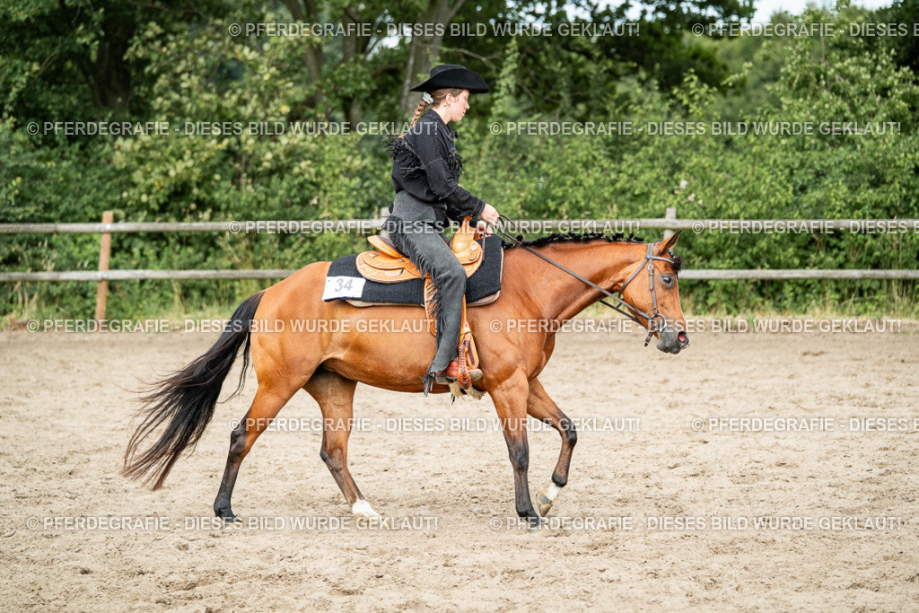 DSC02254 | Pferdegrafie