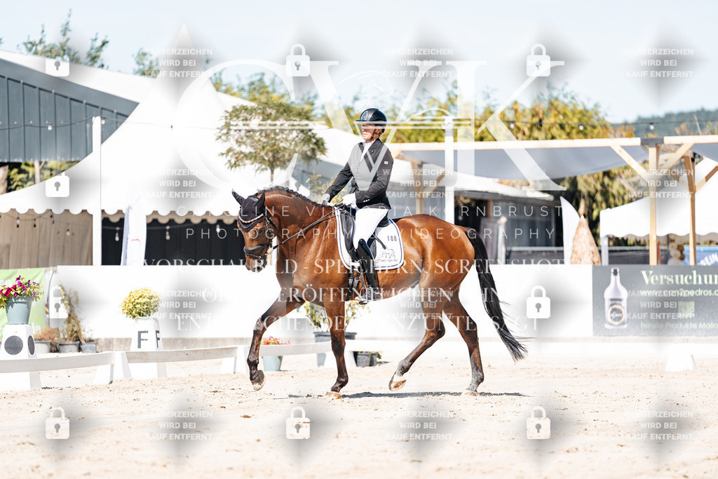 CK909176 | Turnierfotografie Pferdefotografie Trier Rheinland-Pfalz Pferdesport Reitsport Tierfotografie Sportfotografie Pferdevideo Pferdevideografie Equestrianvideography equestrianphotography  - Realisiert mit Pictrs.com