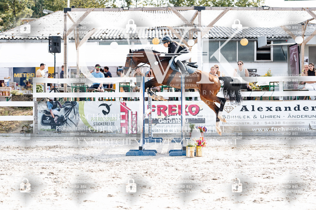CK905654 | Turnierfotografie Pferdefotografie Trier Rheinland-Pfalz Pferdesport Reitsport Tierfotografie Sportfotografie Pferdevideo Pferdevideografie Equestrianvideography equestrianphotography  - Realisiert mit Pictrs.com