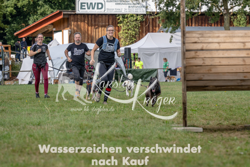 1136_ZZ90729 | kk-dogfotos